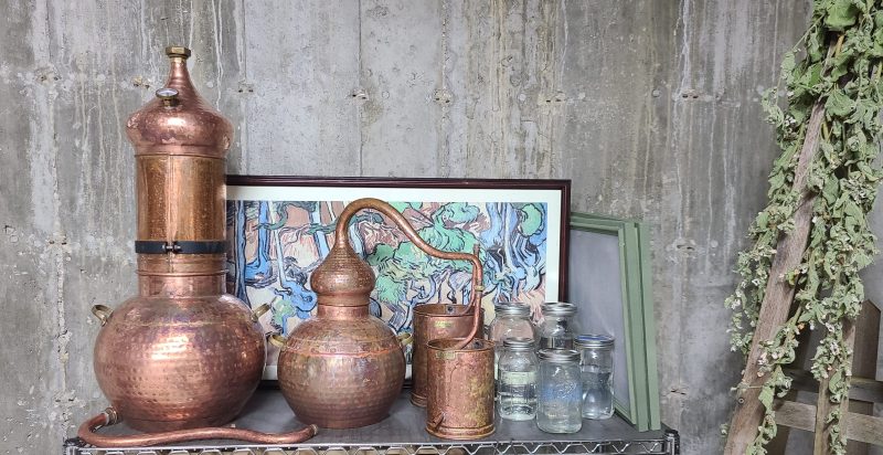 Distillation in Practice: Patchouli From Garden to Still