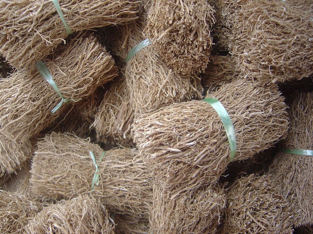 Dried, Bundled Vetiver Roots.