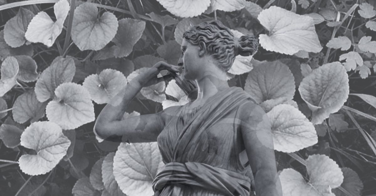 Artemis and Violet Leaves.