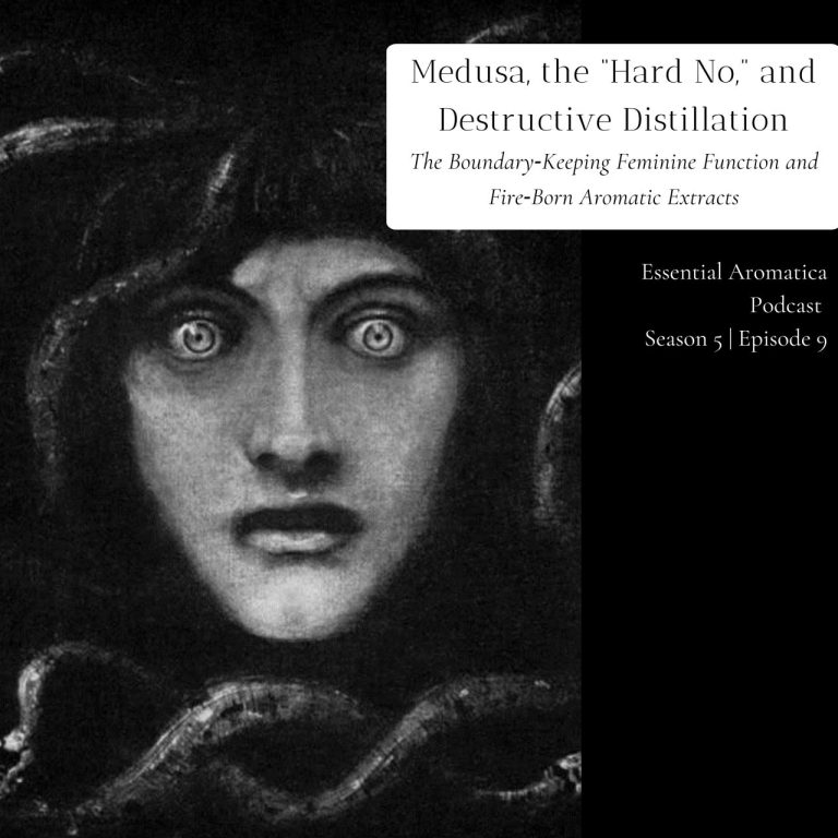 Medusa, the “Hard No” and Destructive Distillation