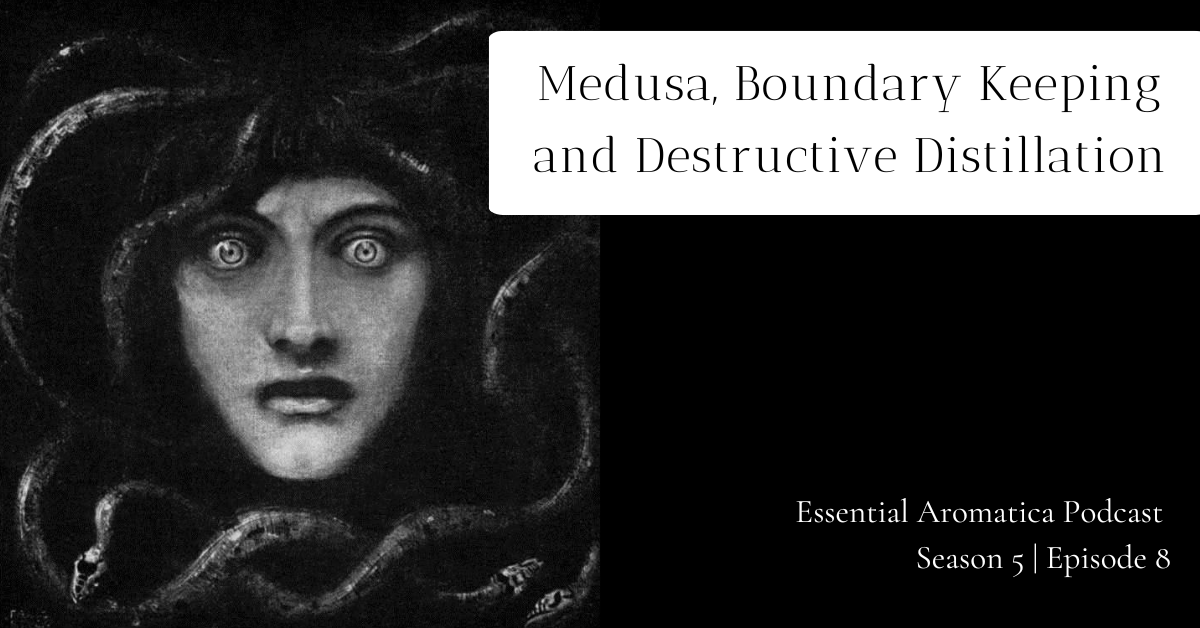 The cover art contains Franz von Stuck’s "Medusa II".